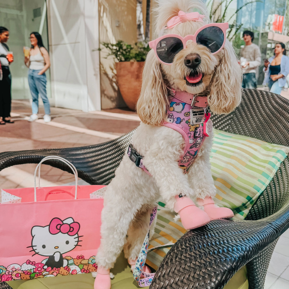 Hello Kitty® & Friends Flower Festival Adjustable Harness