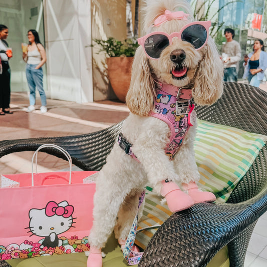 Hello Kitty® & Friends Flower Festival Adjustable Harness