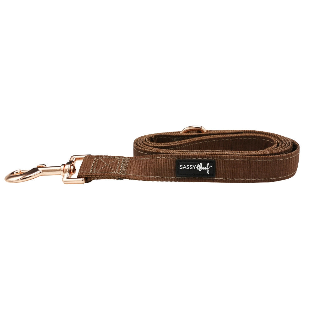 Brown Dog Leash