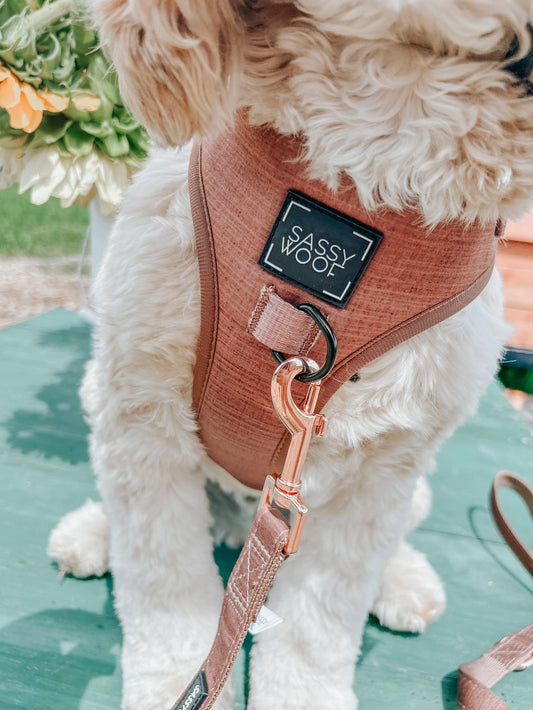 Brown Dog Leash