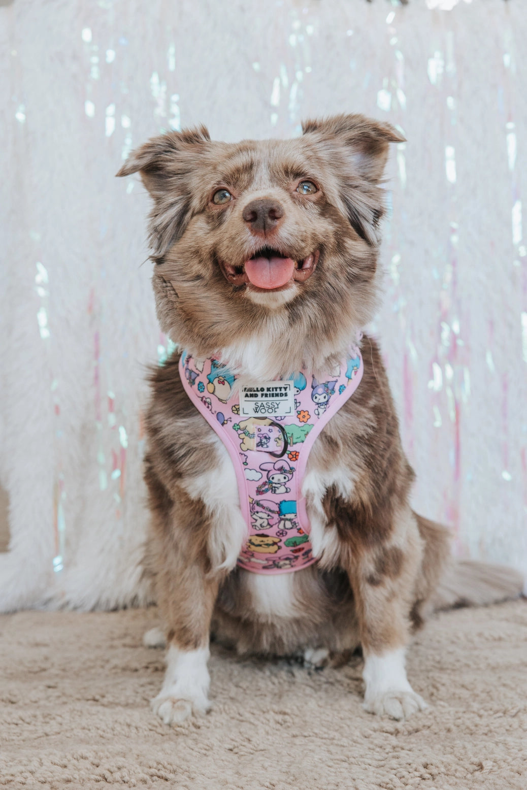 Hello Kitty® & Friends Flower Festival Adjustable Harness