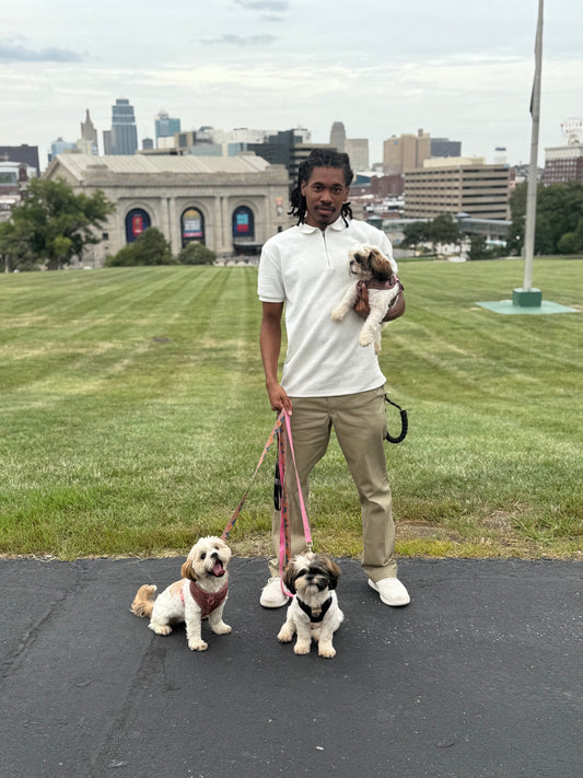 Dog Walking