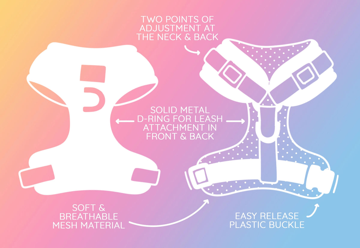 Brown Adjustable Dog Harness
