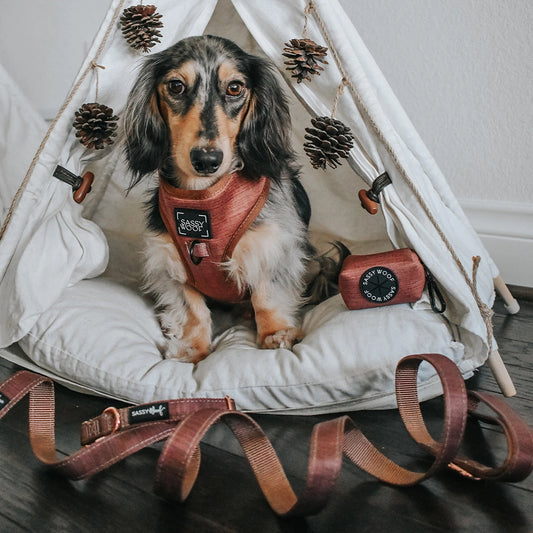 Brown Adjustable Dog Harness